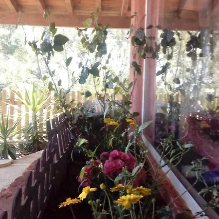 Calle Begonia Villa La Oliva
