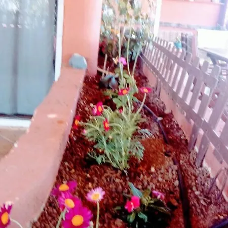 Calle Begonia La Oliva