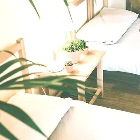 Calle Begonia Villa